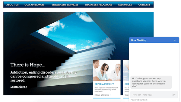 An image of the Olark live chat widget on a website for RiverMend Health.