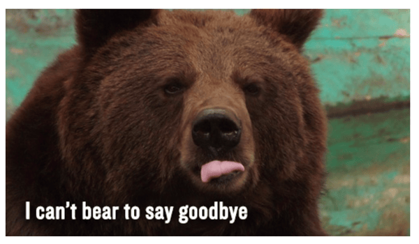 Photo of a bear...we use shortcuts to let customers know we can't "bear" to say goodbye. 