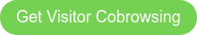 Get Visitor Cobrowsing